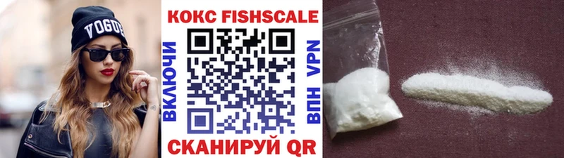 COCAIN Fish Scale  Купить  Севск 