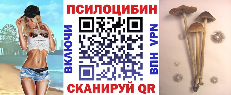 Купить закладки  Севск  Псилоцибиновые грибы Magic Shrooms 